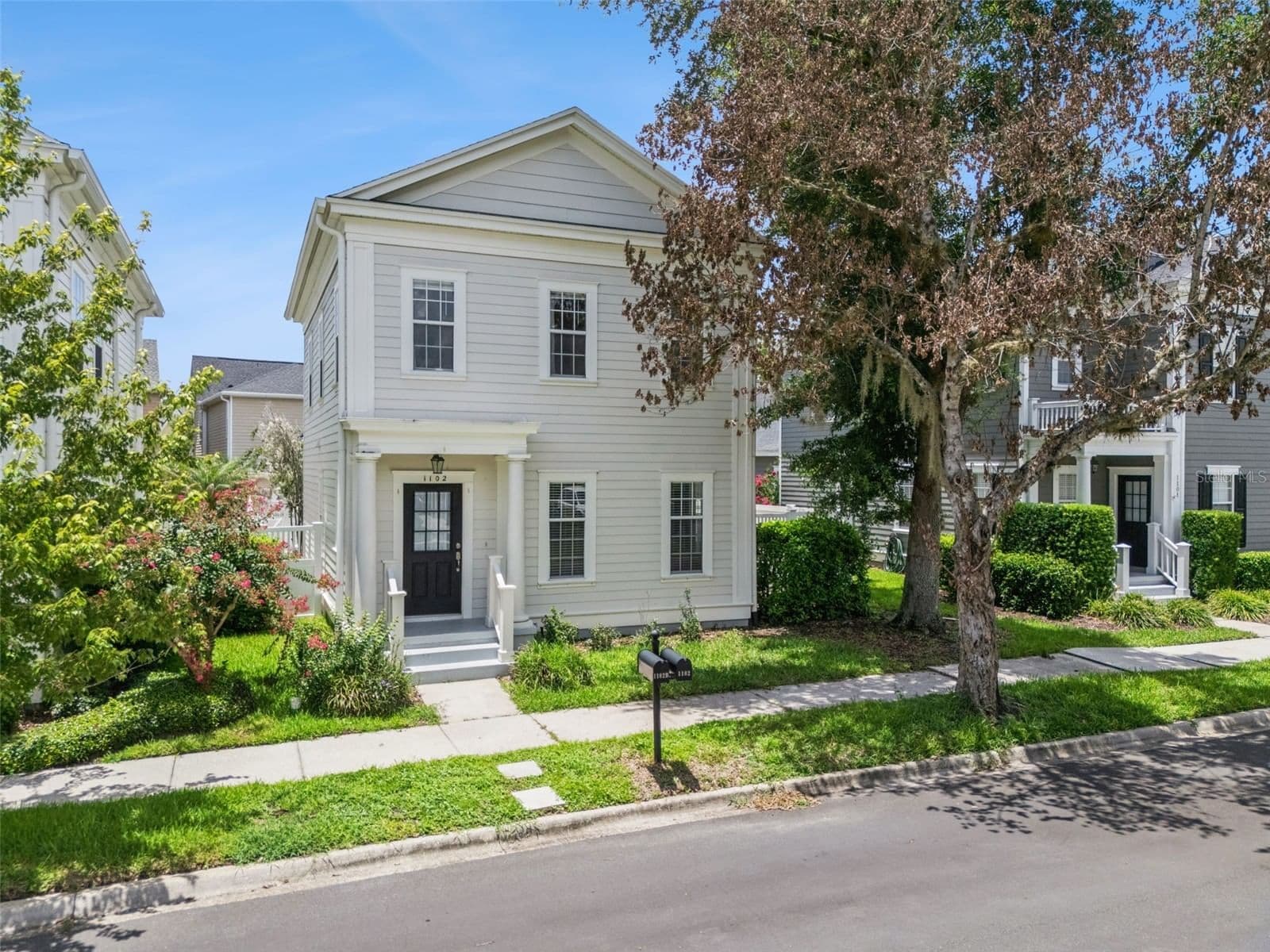 1102 GOLDENASTER 2