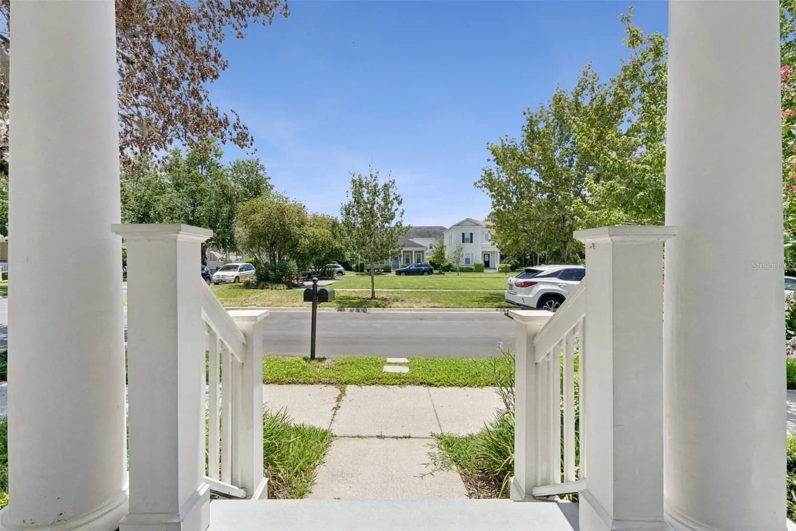 1102 GOLDENASTER 3