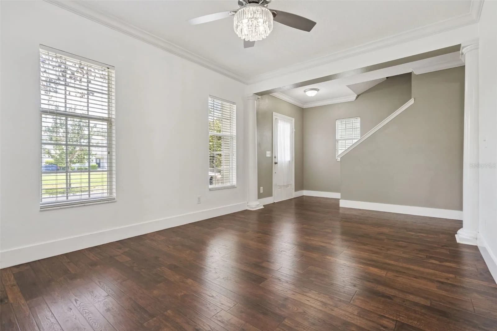 1102 GOLDENASTER 5