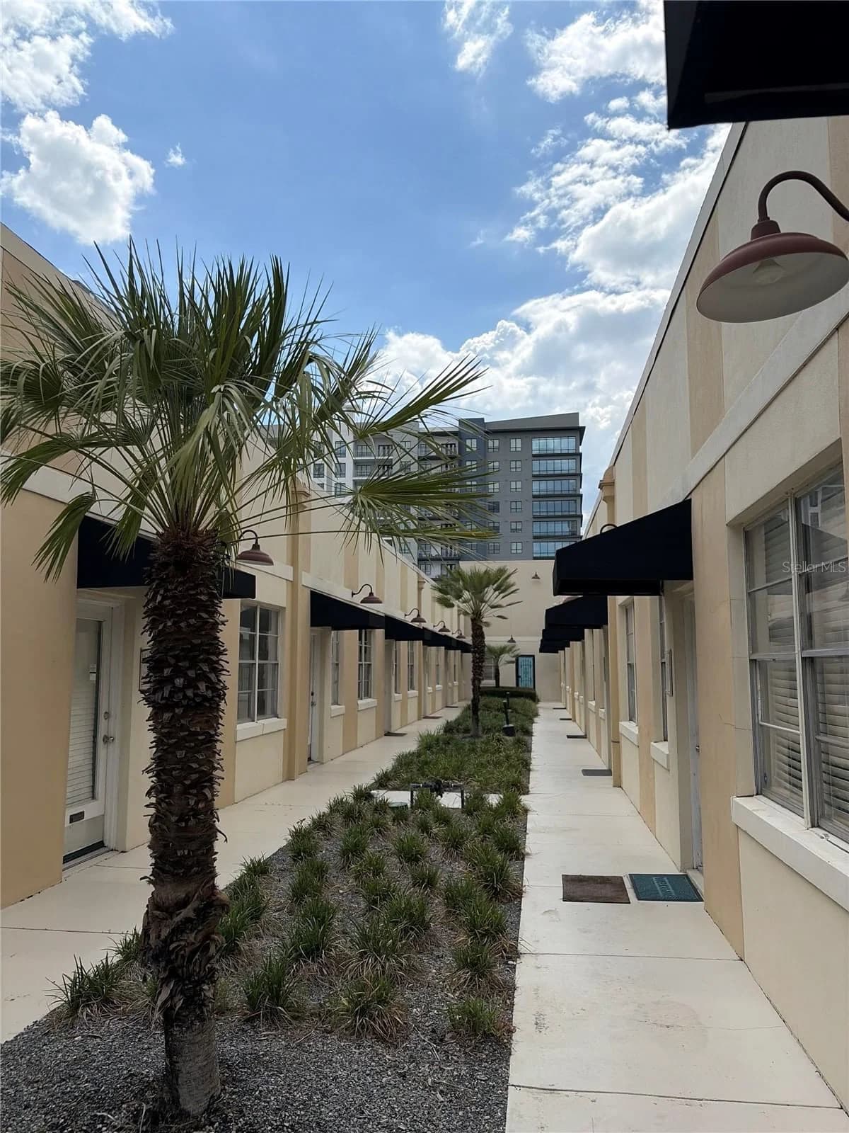 320 MAGNOLIA 3