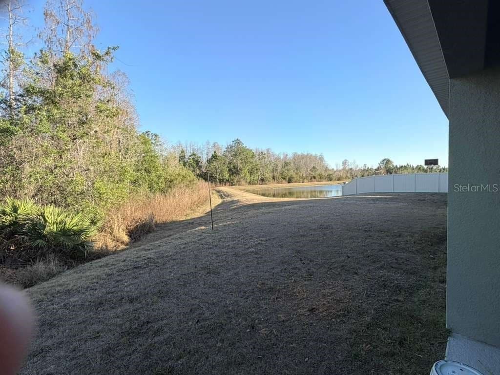 1415 FOX SQUIRREL 4