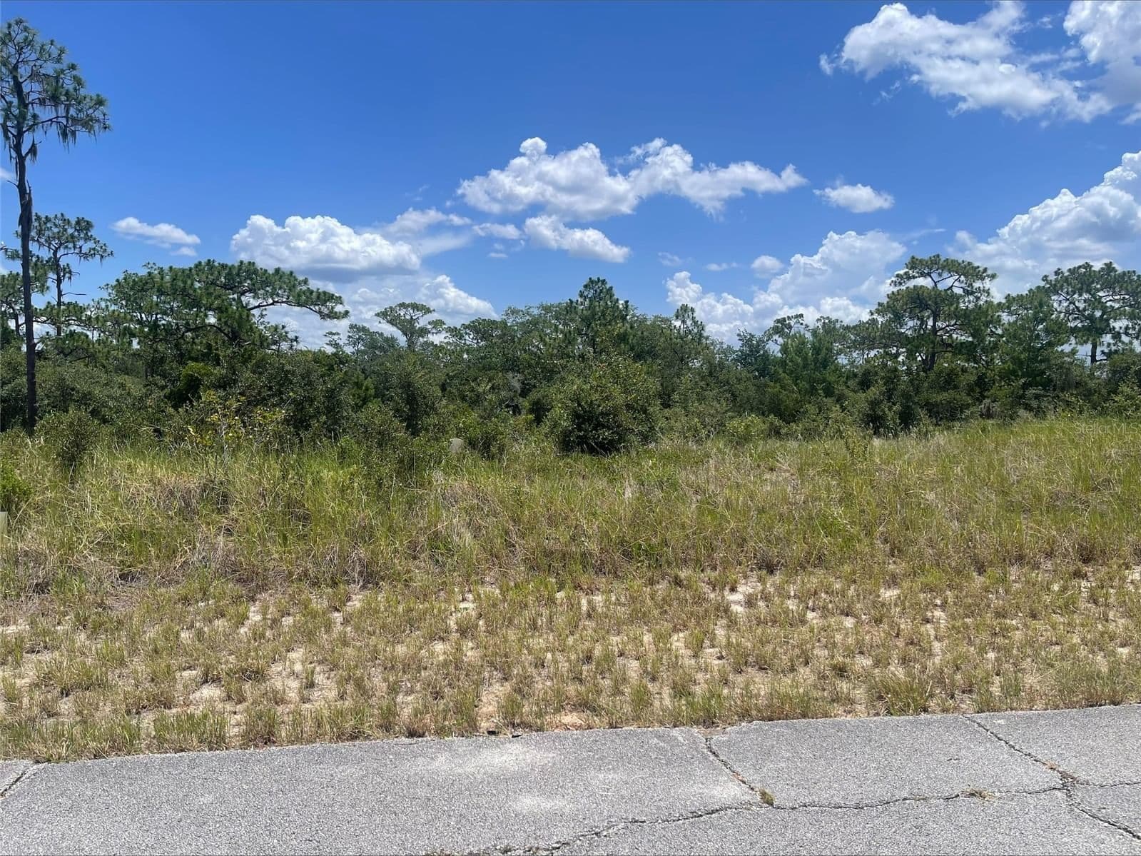 1340 HOMOSASSA, Kissimmee, FL 34759