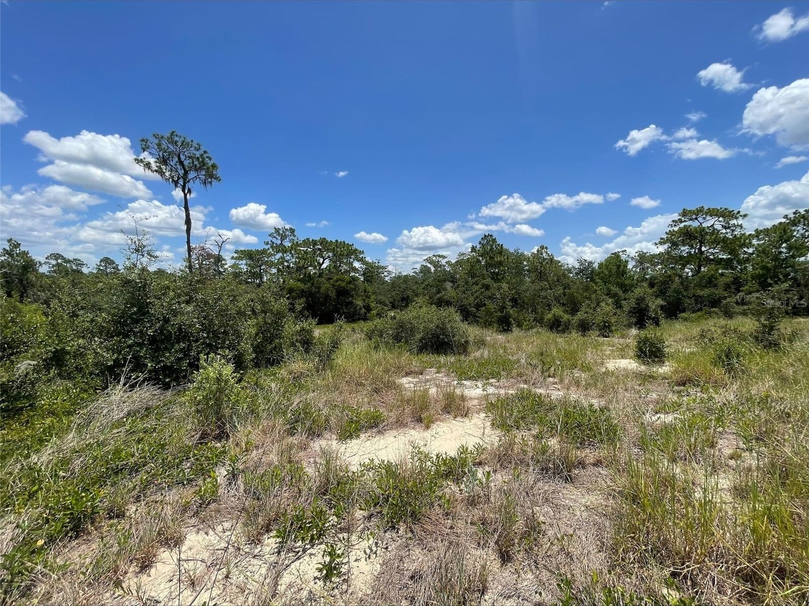1340 HOMOSASSA 2