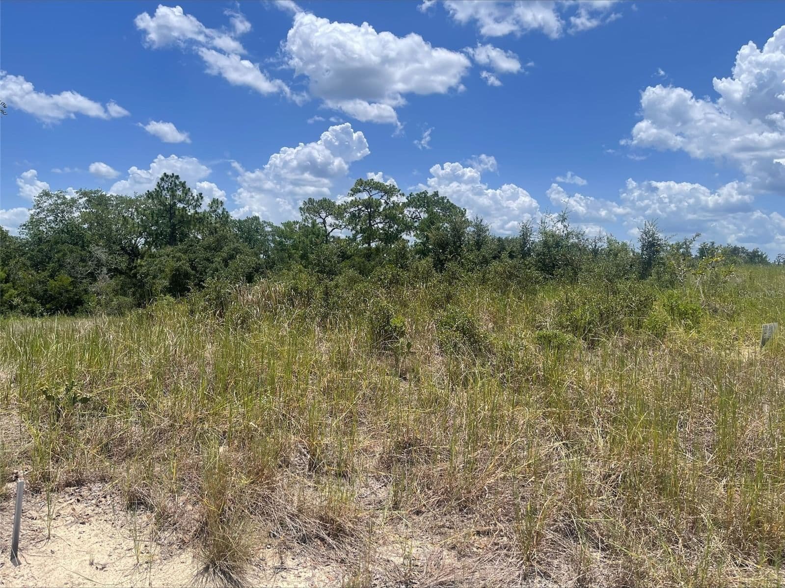 1340 HOMOSASSA 3