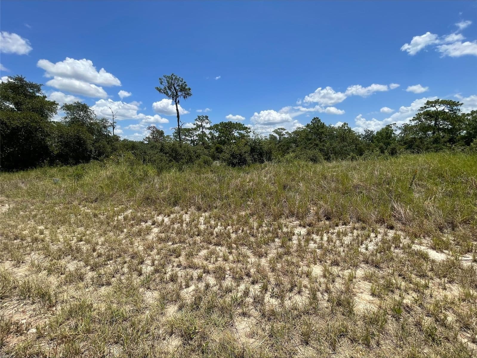 1340 HOMOSASSA 4