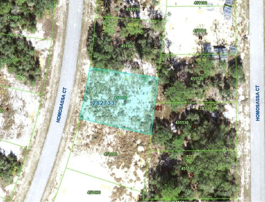 1340 HOMOSASSA 5