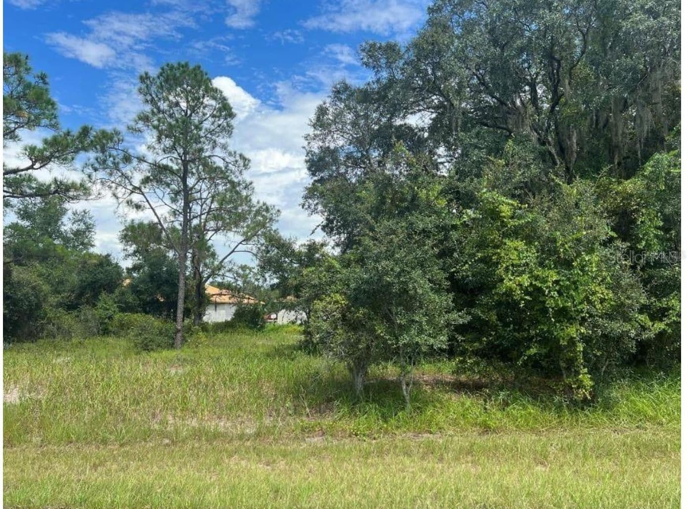 1336 HILLSBOROUGH 3
