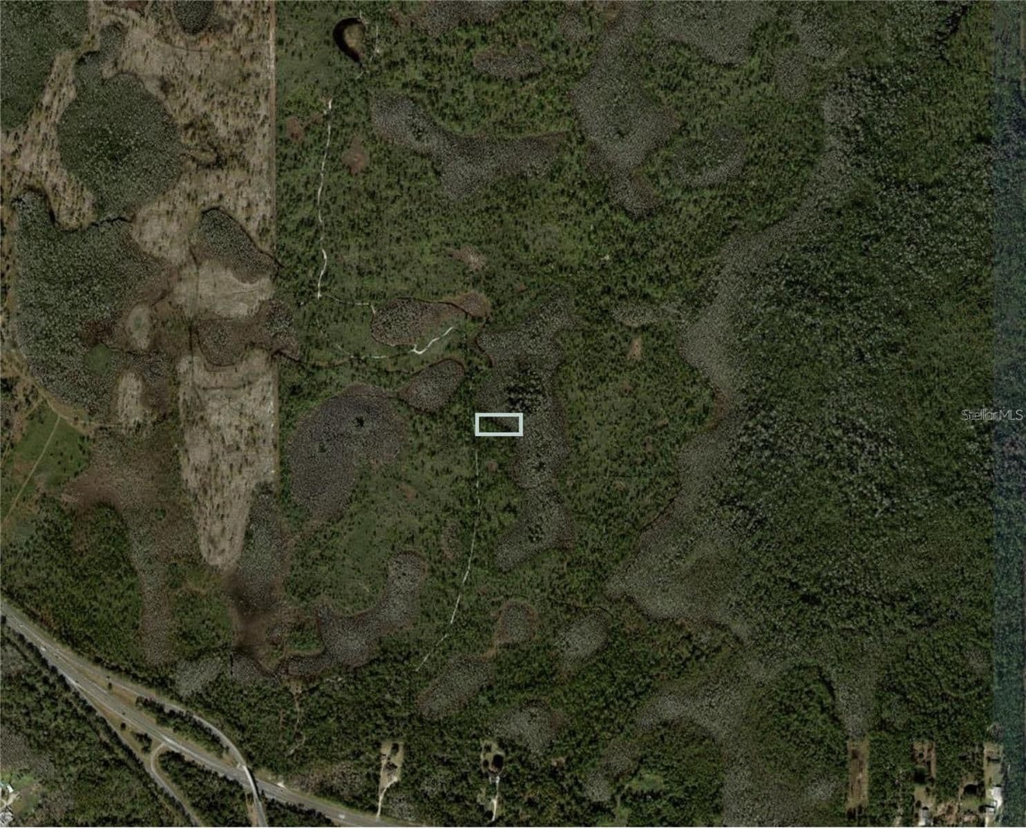 DILL, Orlando, FL 32820