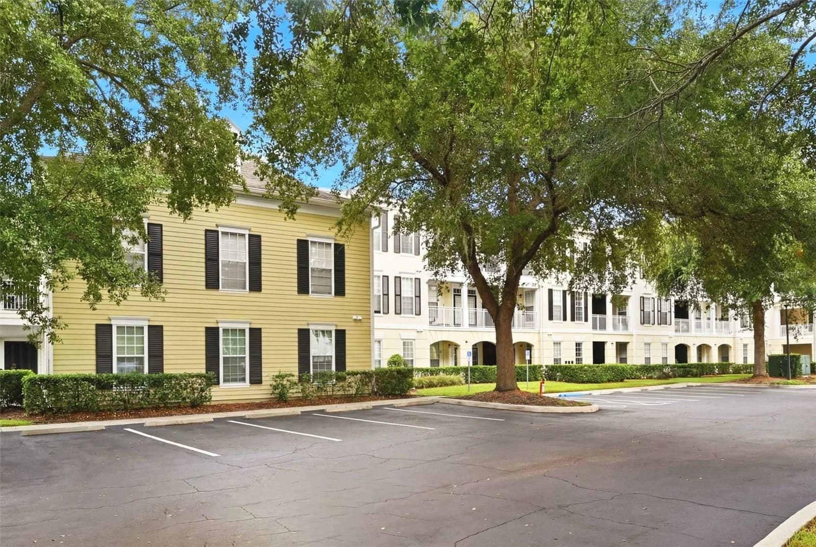 239 LONGVIEW 2