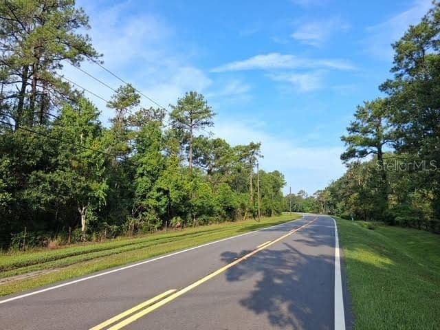 DILL, Orlando, FL 32820