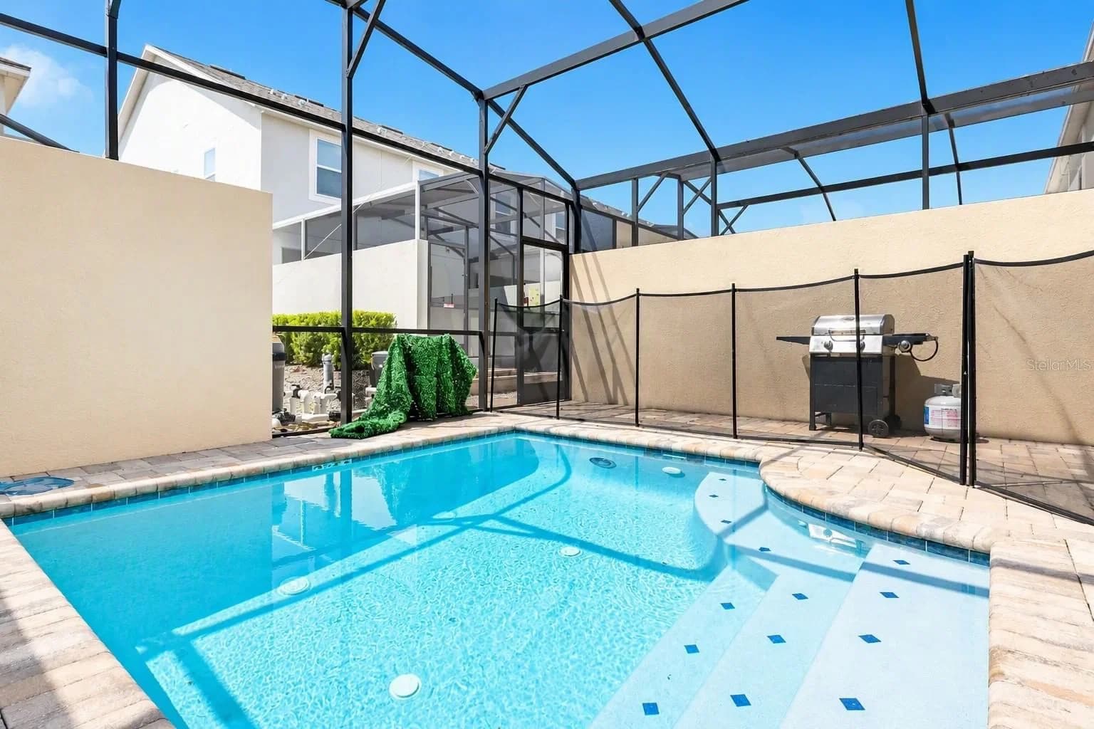 1562 CAREY PALM 3