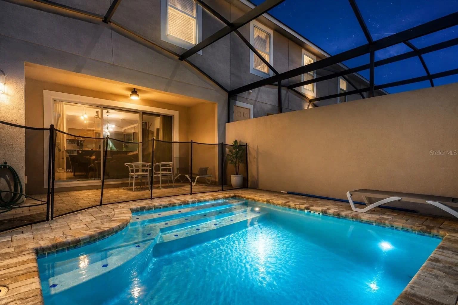 1562 CAREY PALM 4