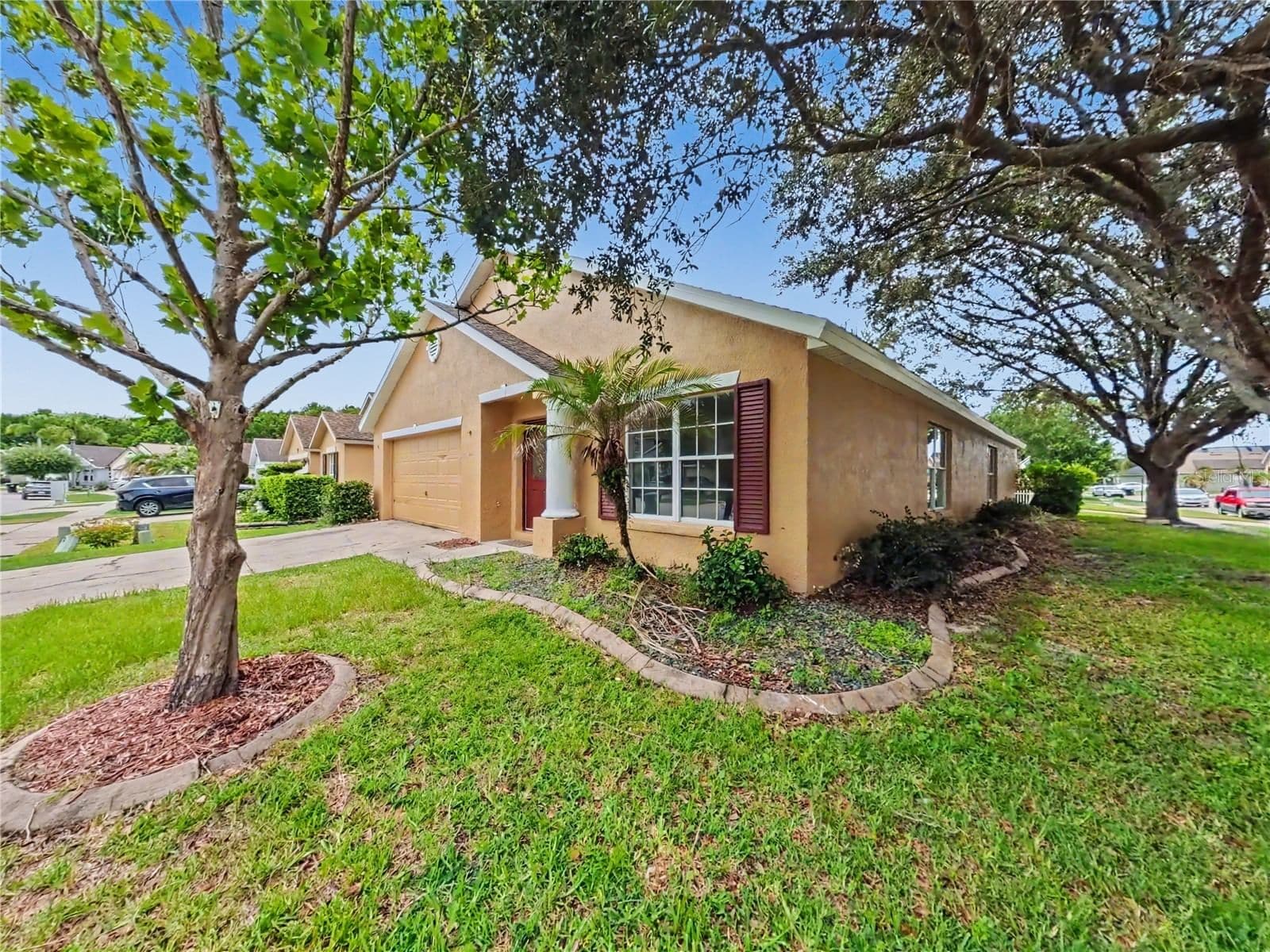 544 CYPRESS TREE 4