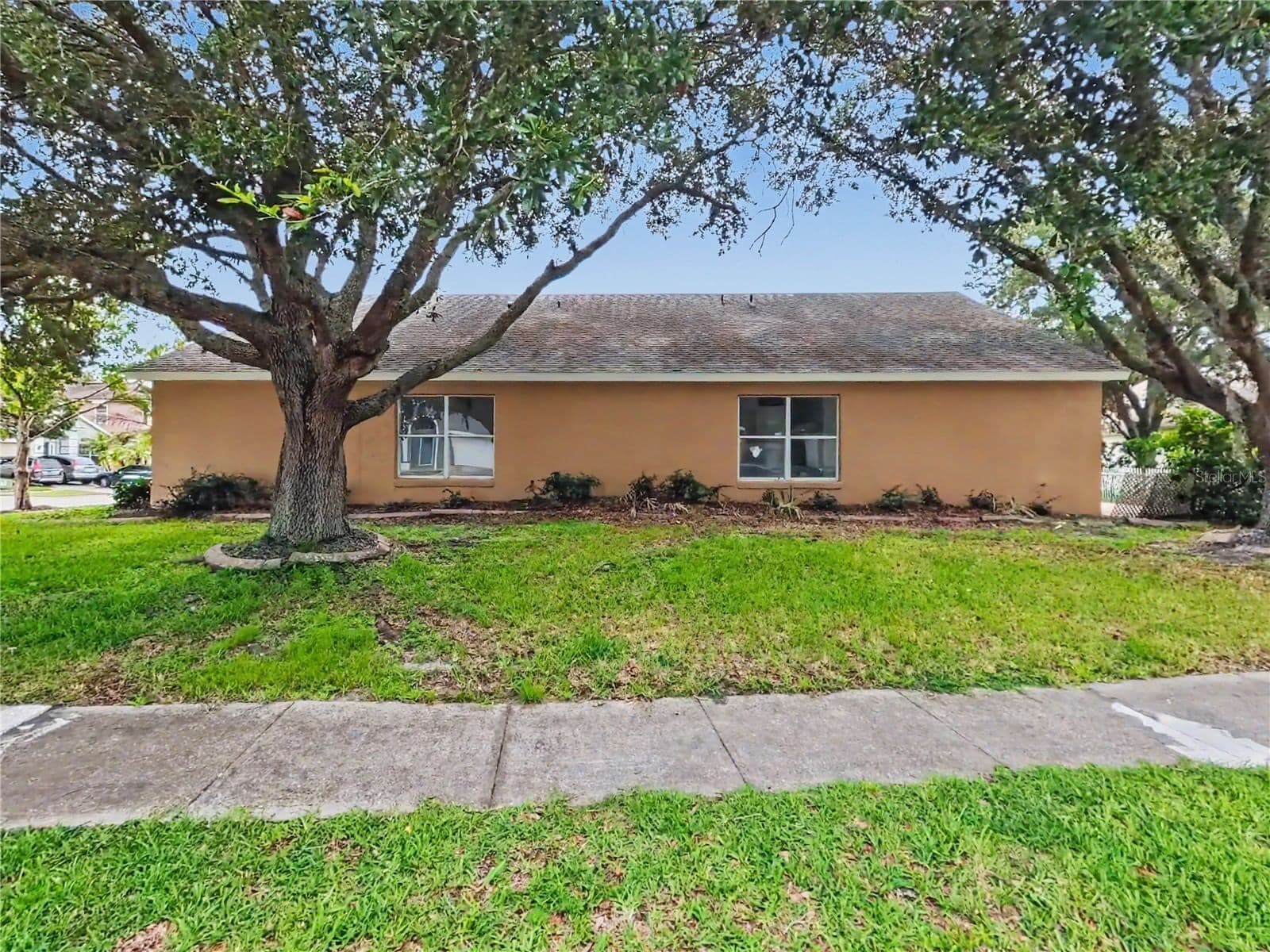 544 CYPRESS TREE 5