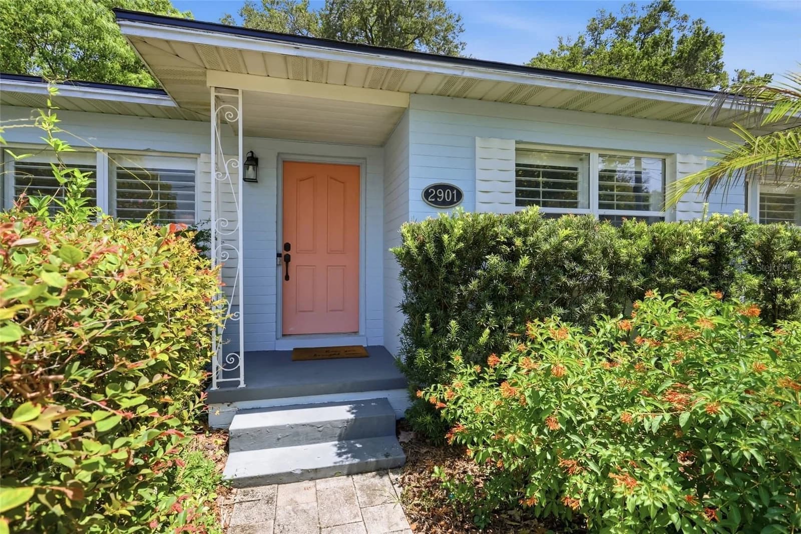 2901 PINE 4