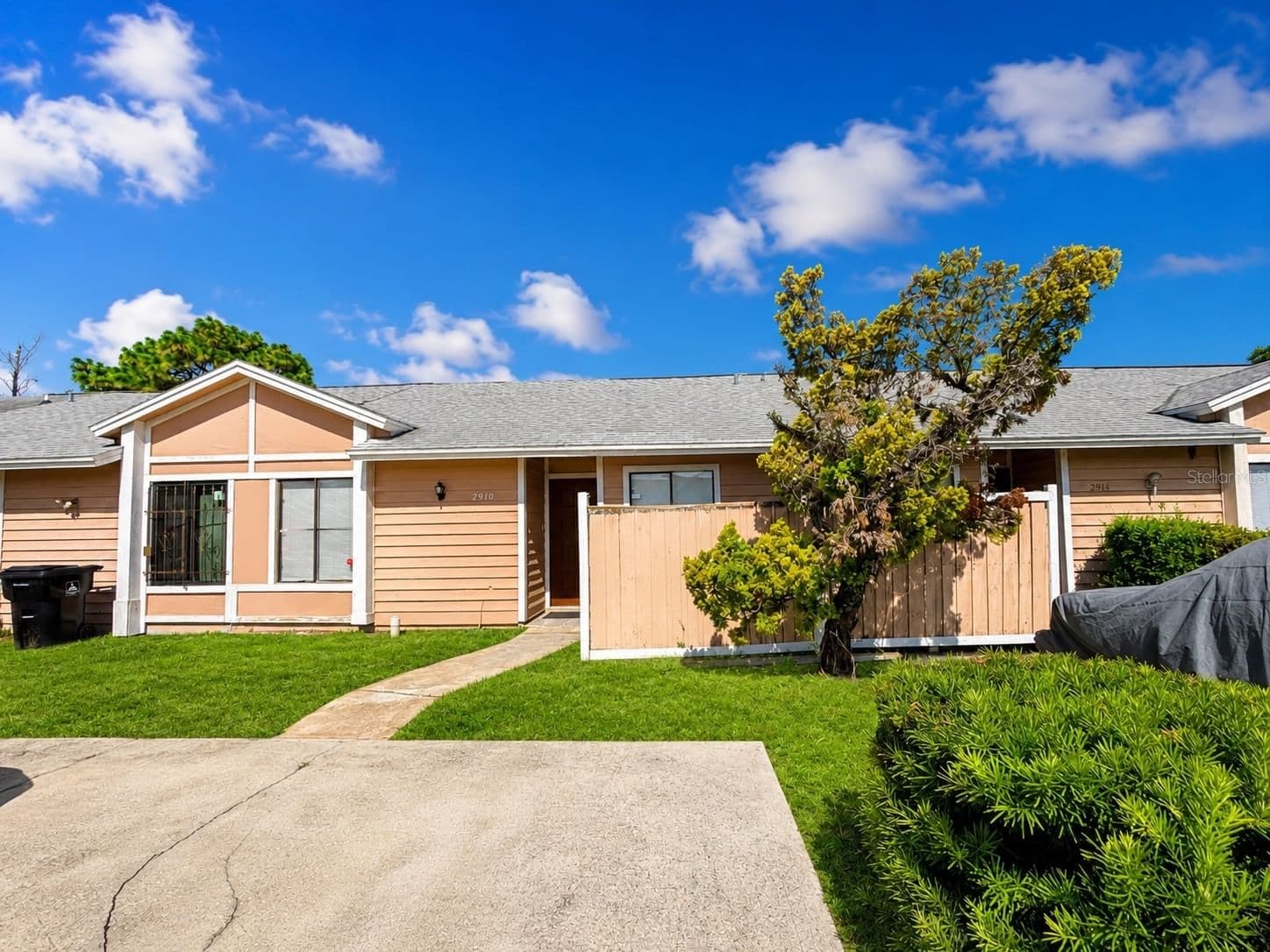 2910 WESTERN WILLOW 5
