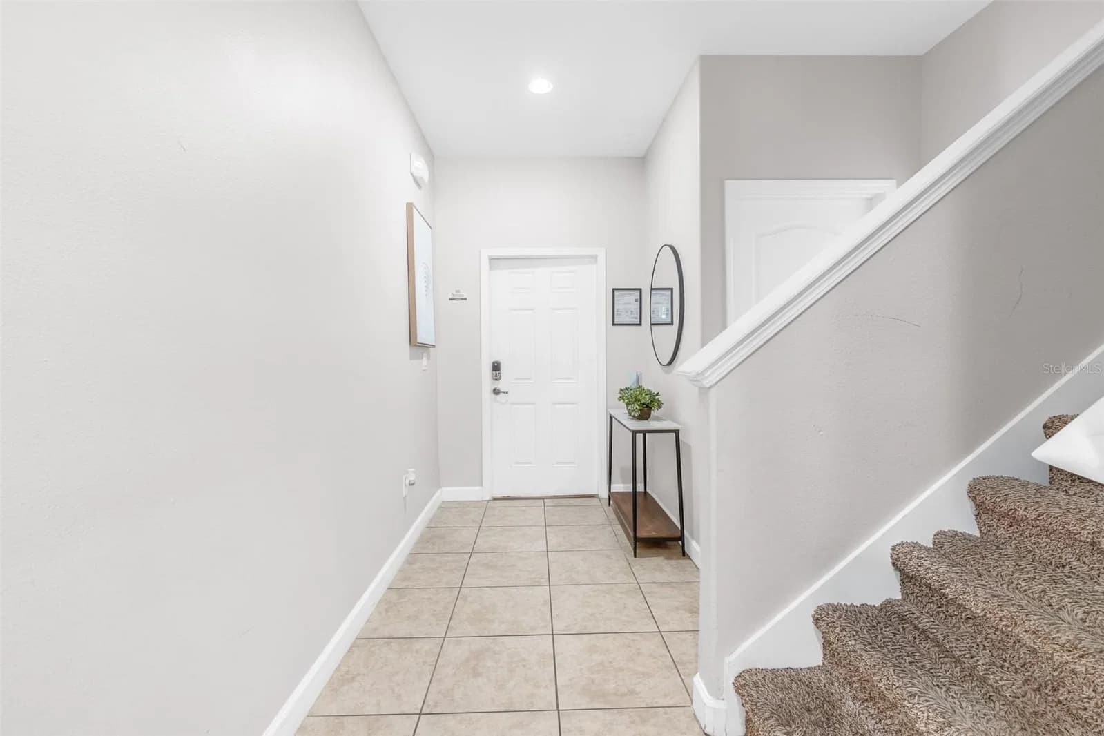 8956 CALIFORNIA PALM 3