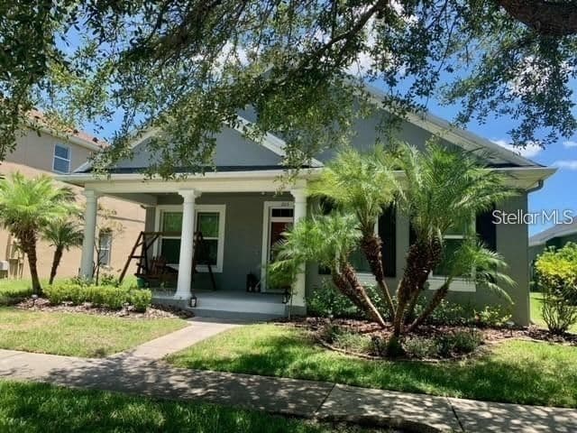 2113 FLORIDA SOAPBERRY 3