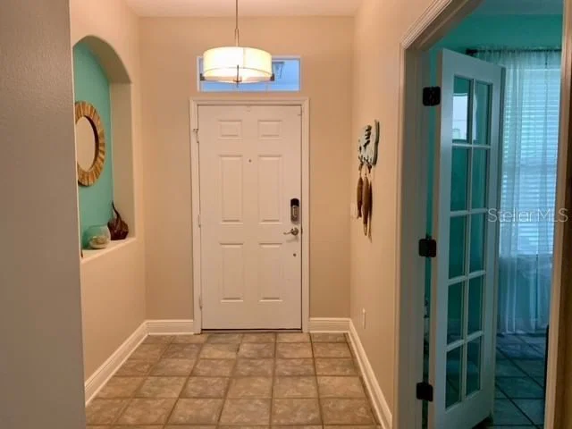 2113 FLORIDA SOAPBERRY 4