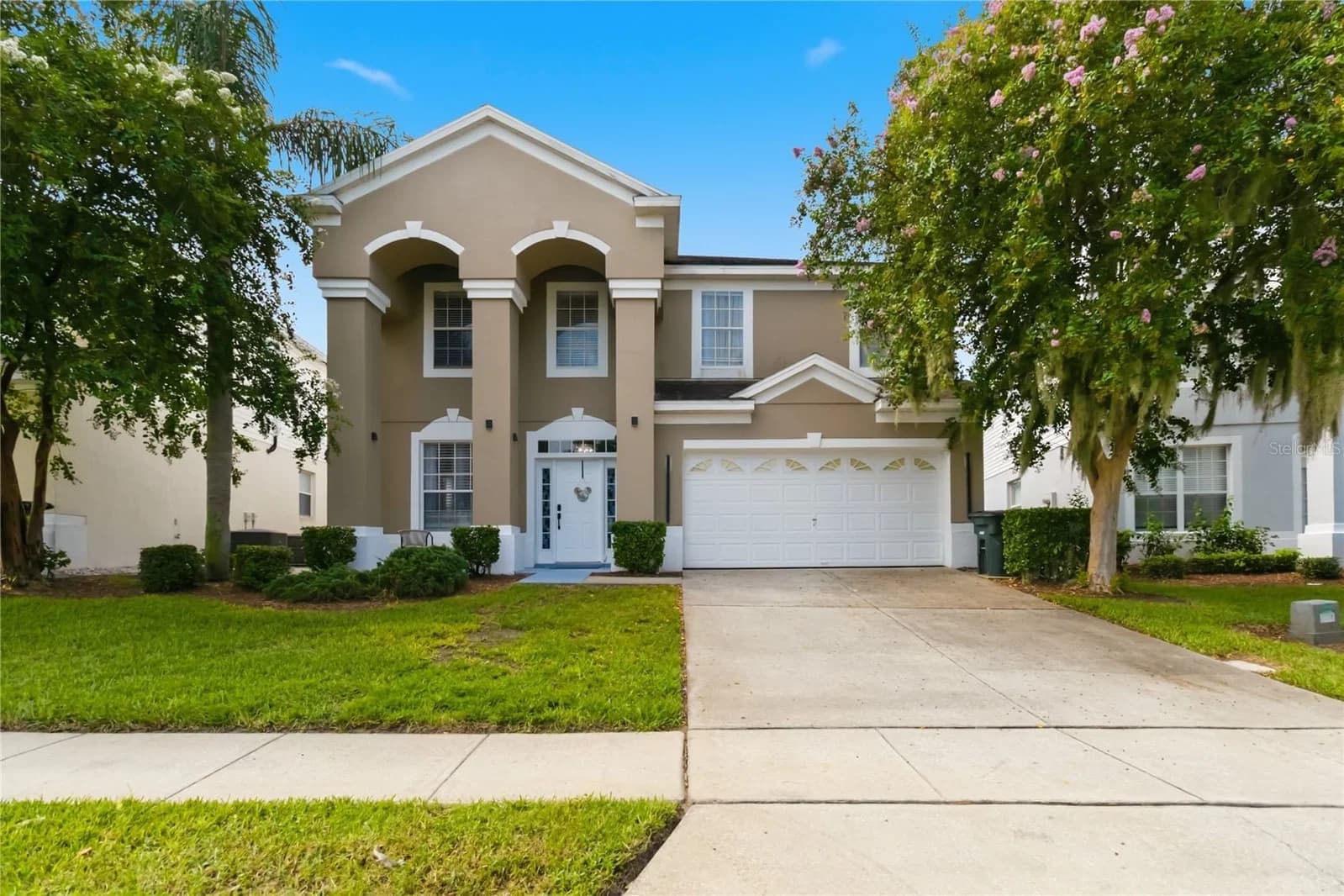 8006 KING PALM 2