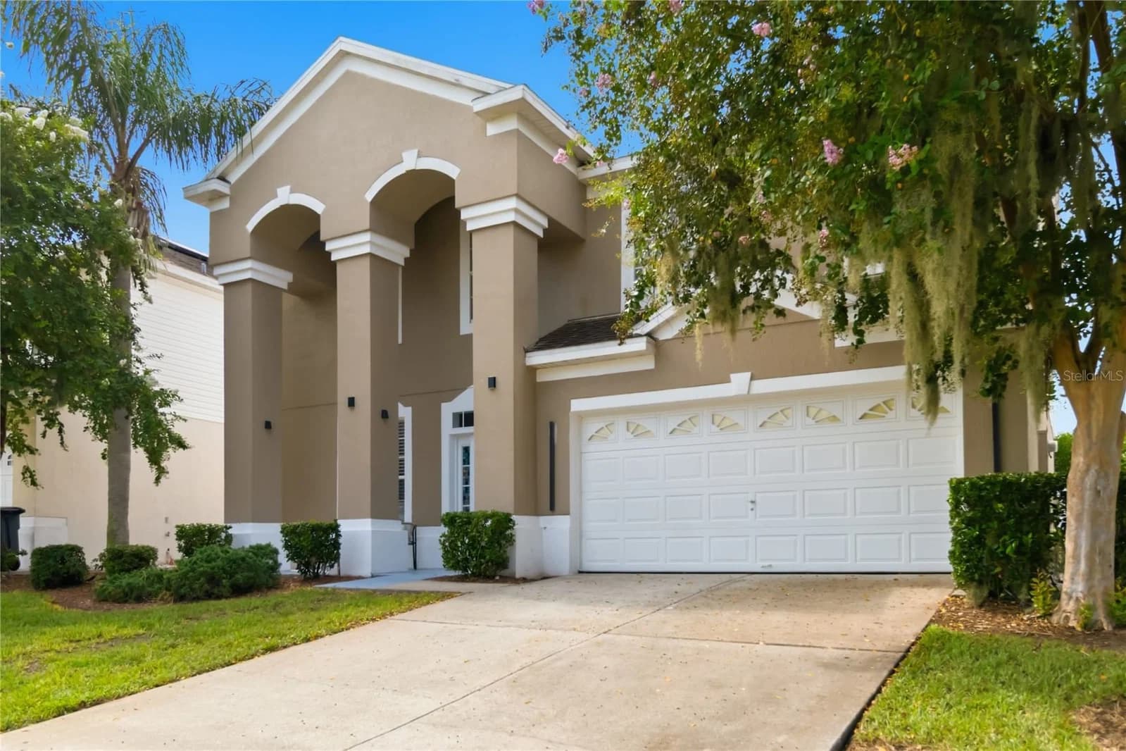 8006 KING PALM 3