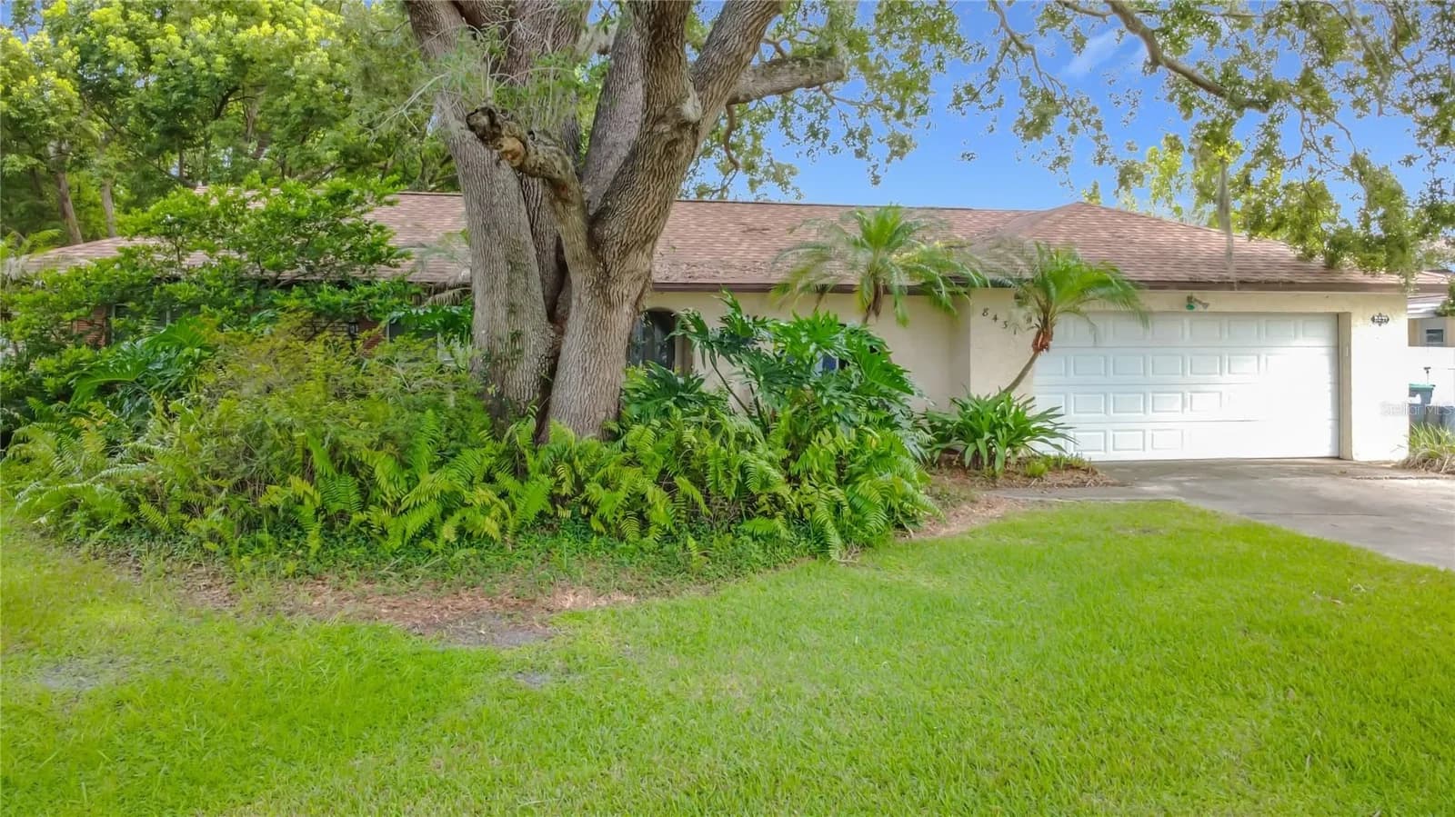 8431 PAMLICO, Orlando, FL 32817