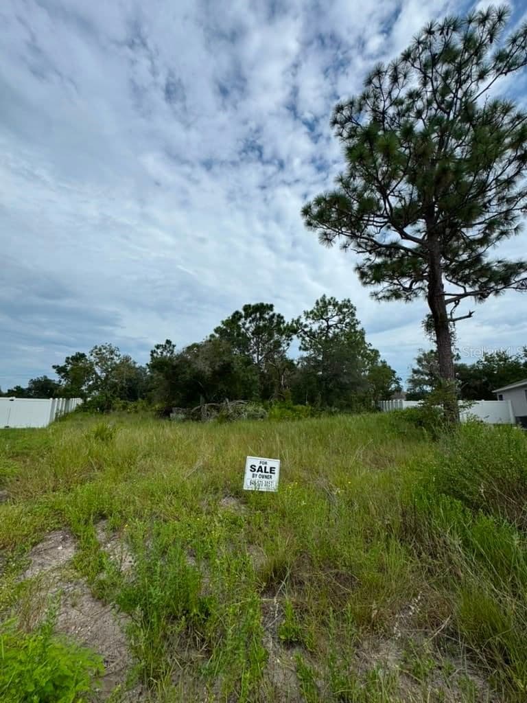 420 ST JOHNS, Poinciana, FL 34759