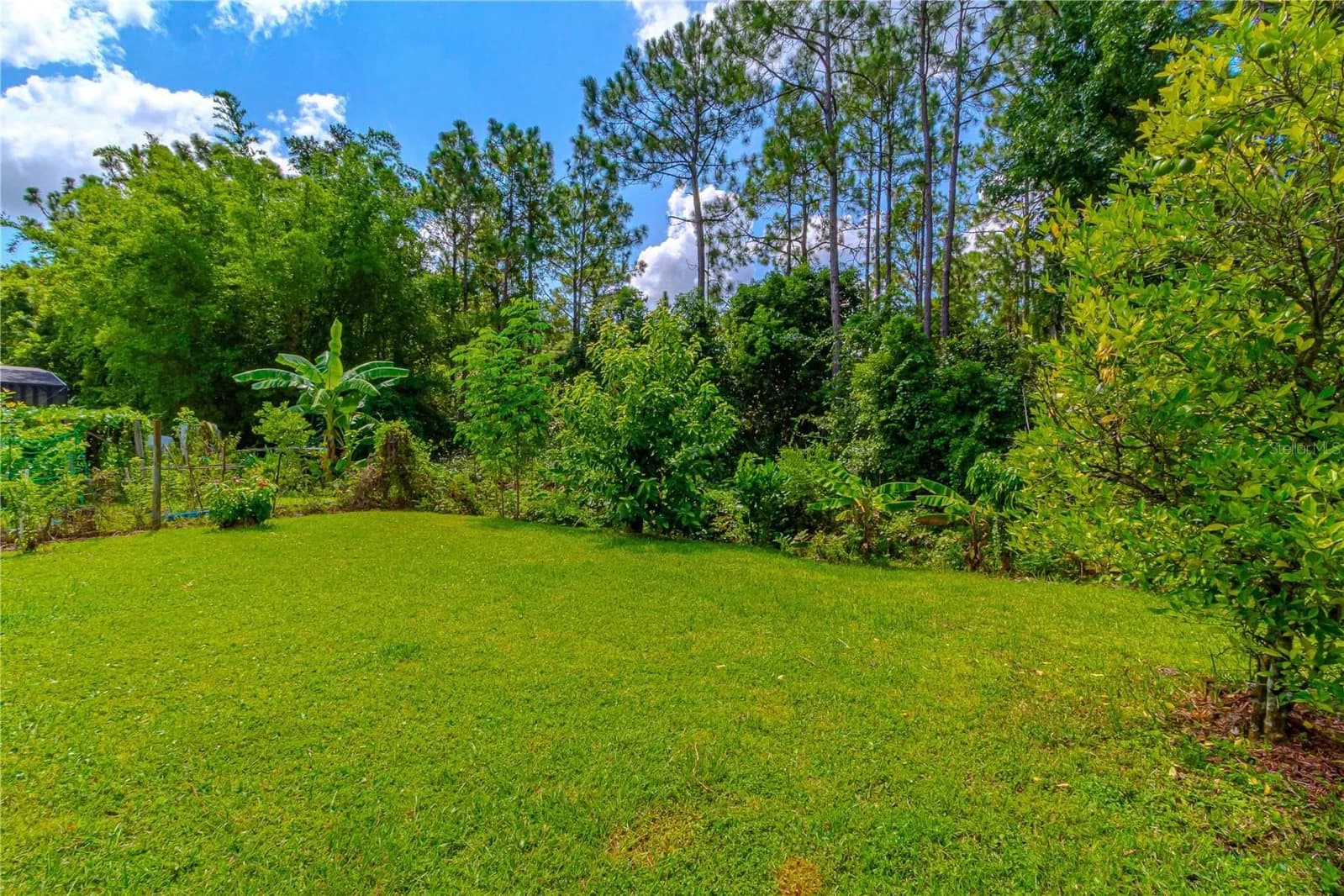 10462 WILLOW RIDGE 2