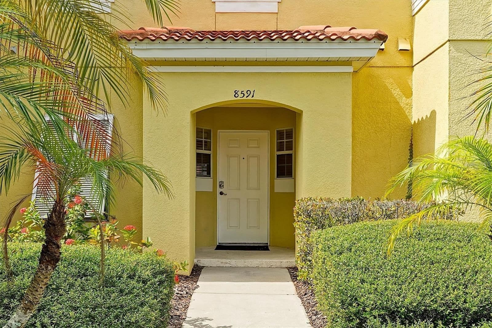 8591 BAY LILLY 3
