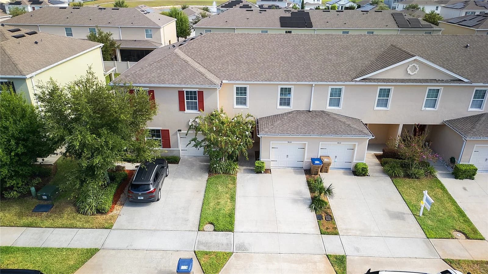 9033 WILDFLOWER 3