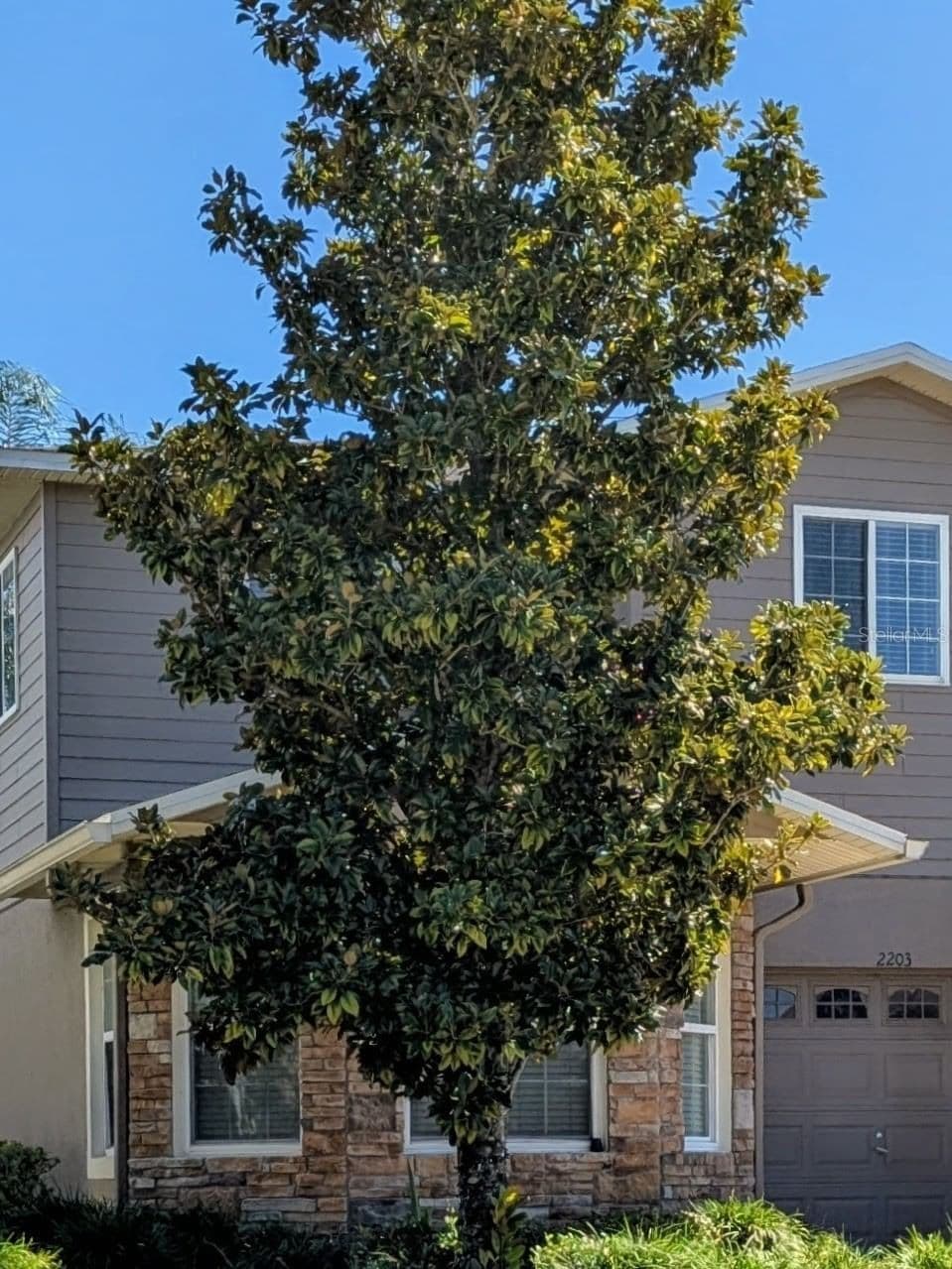 2203 CHATHAM 2