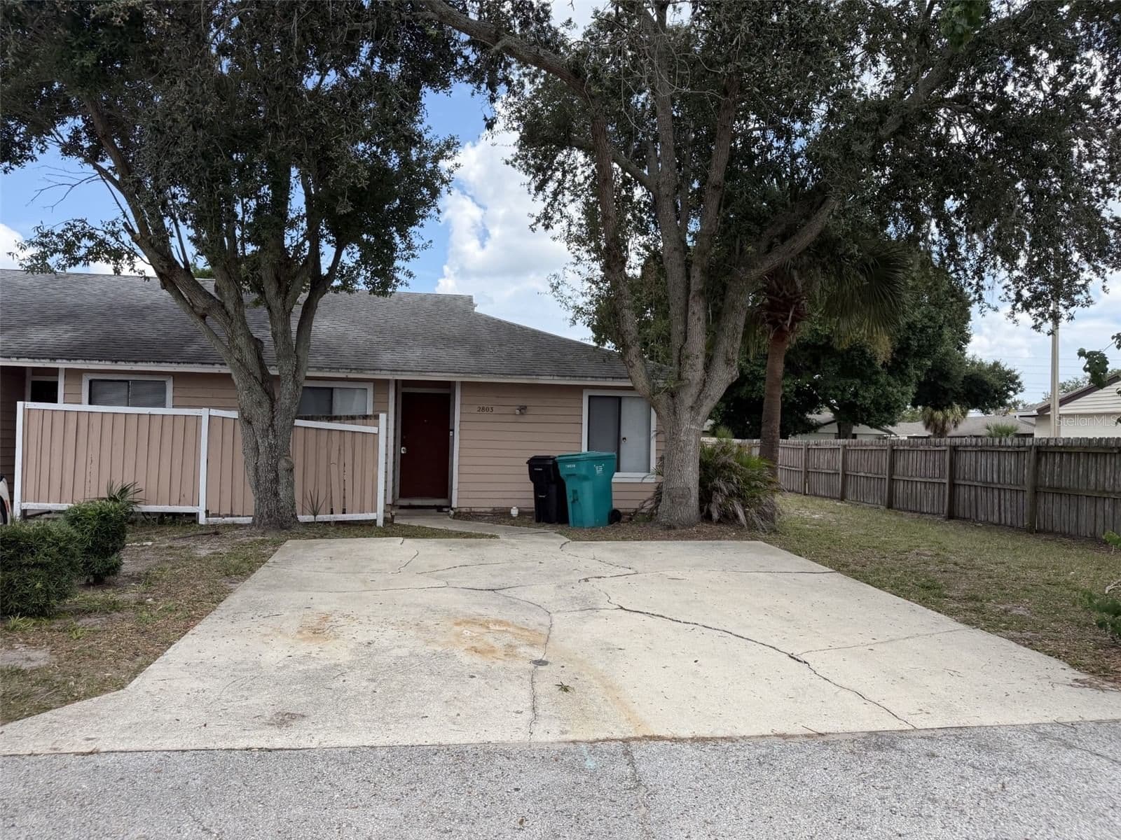 2803 WAXY WILLOW 2