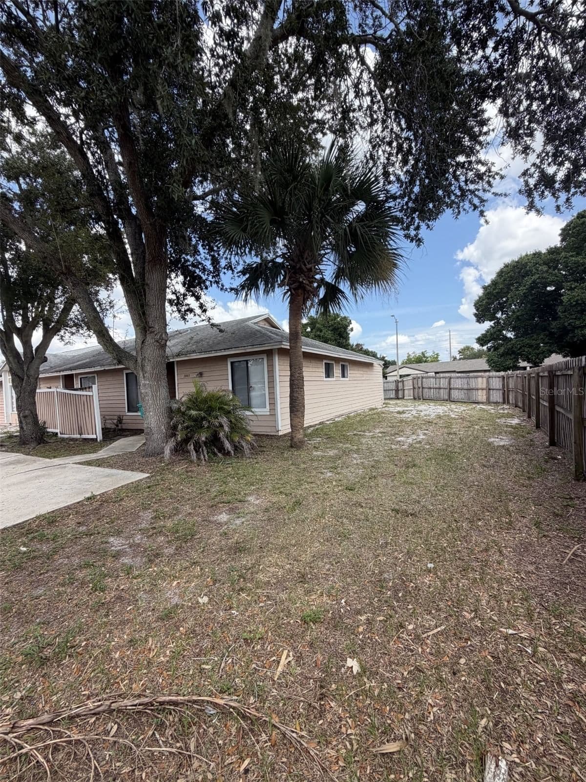 2803 WAXY WILLOW 3