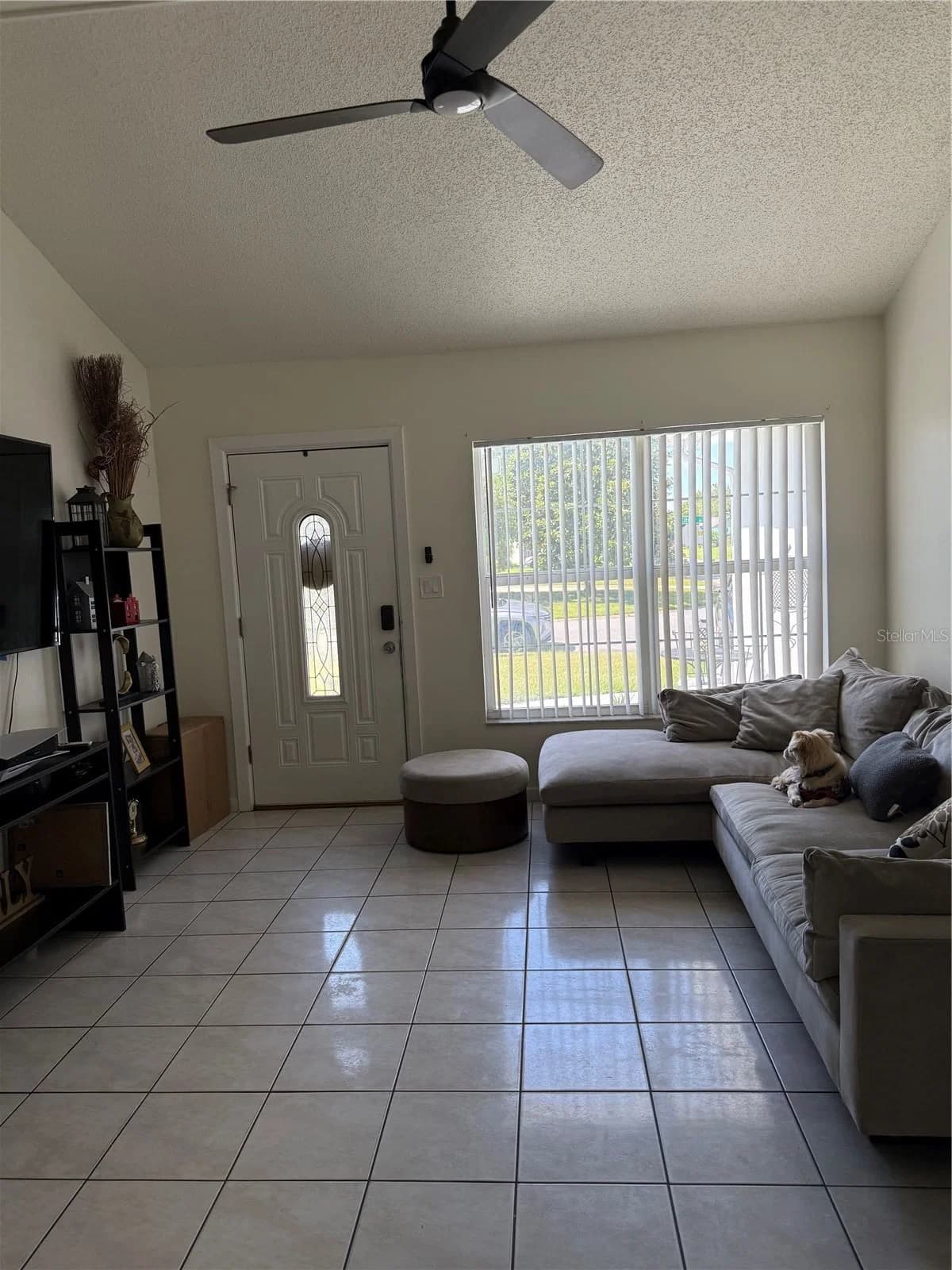 217 CITRUS DR 2