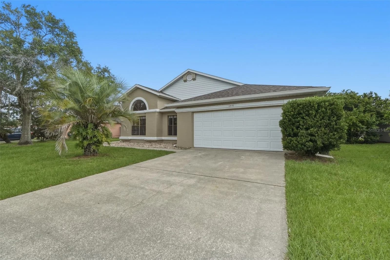 13449 TEXAS WOODS 2