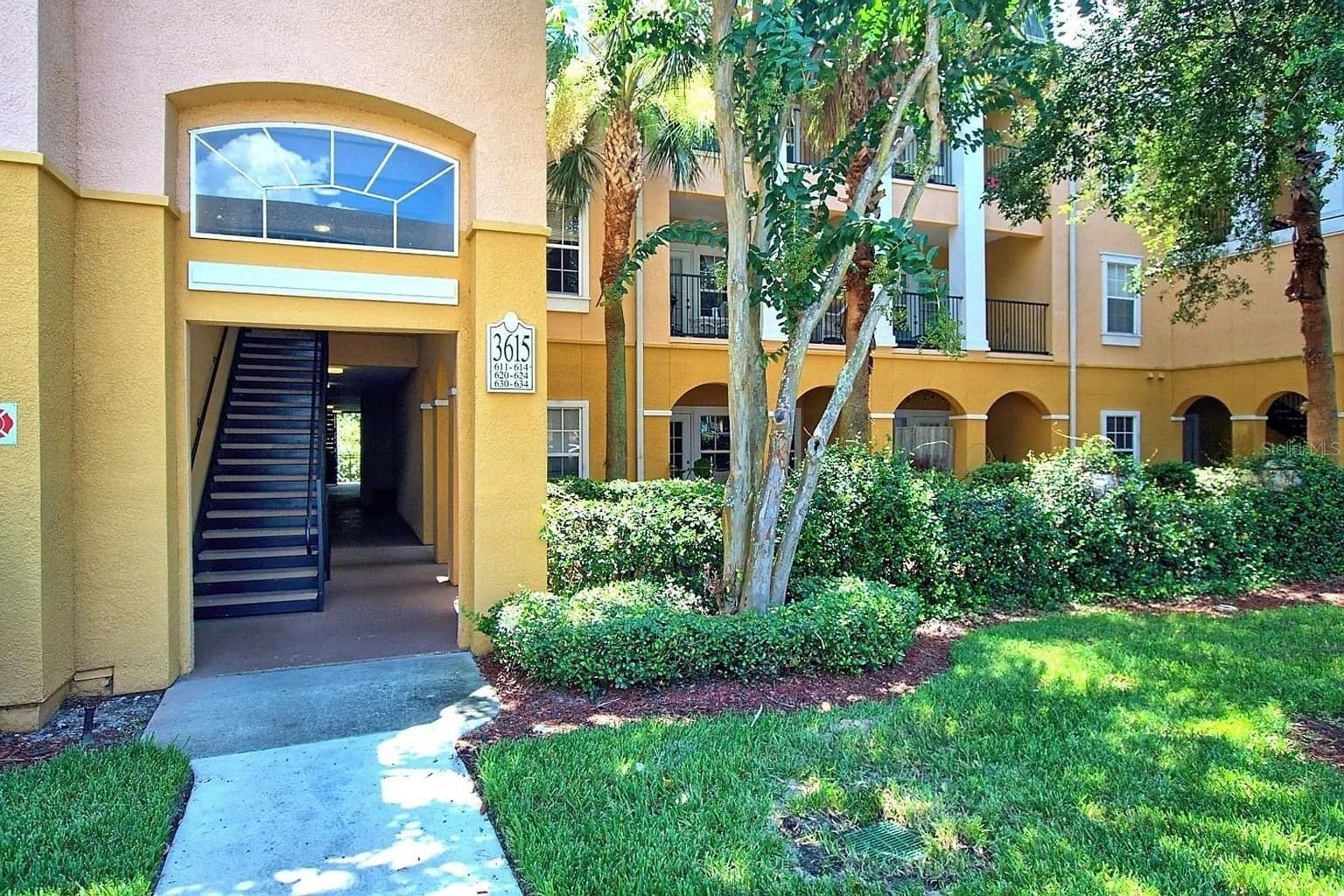 3615 CONROY 2