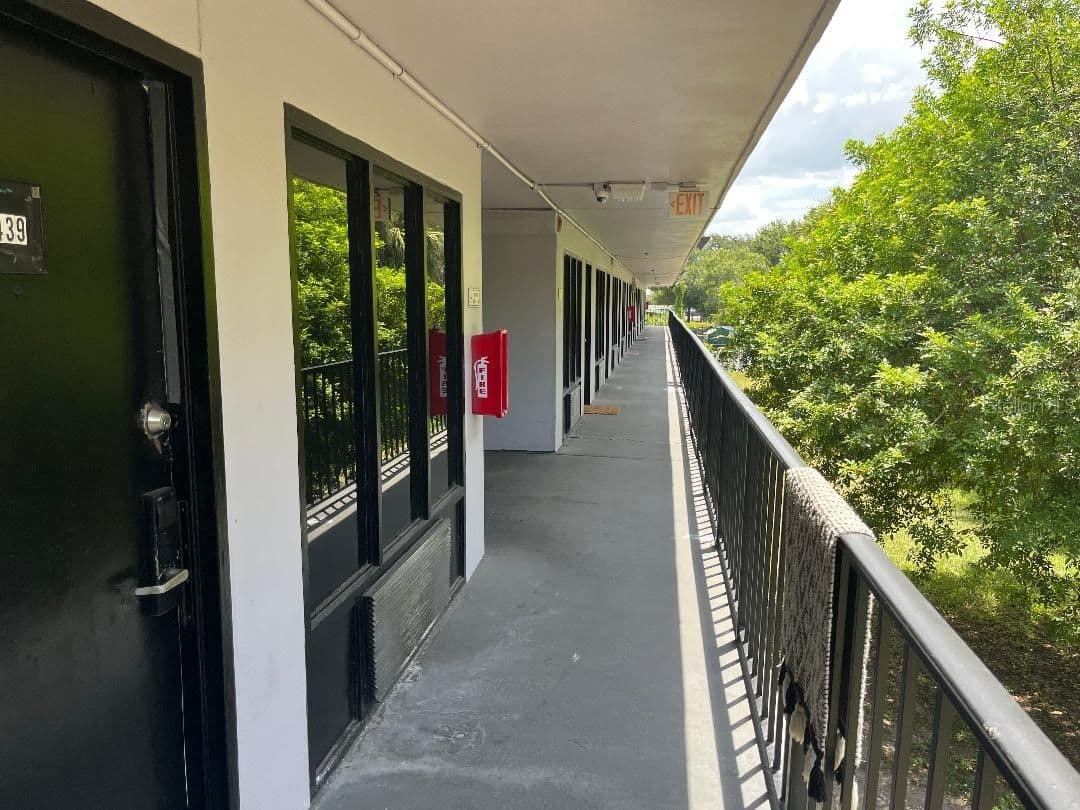 8421 ORANGE BLOSSOM 3