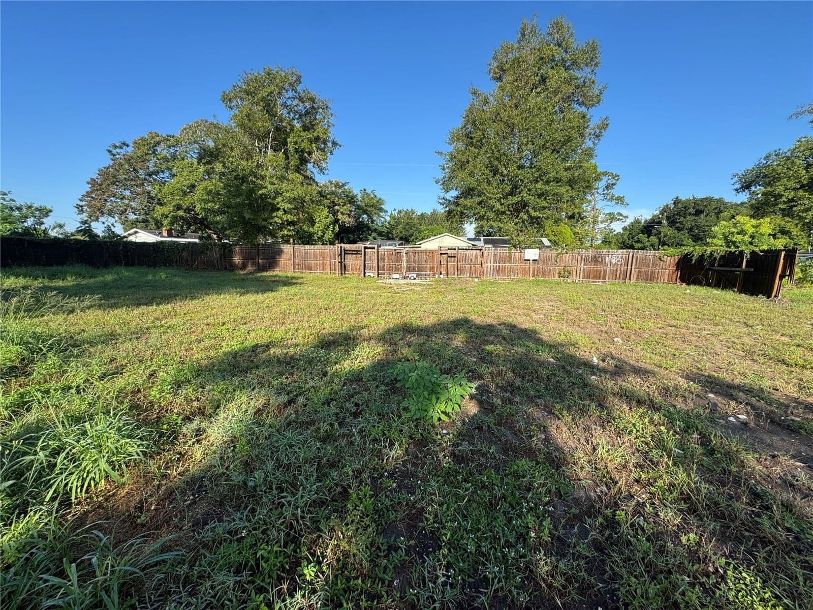222 BUCHANON 4