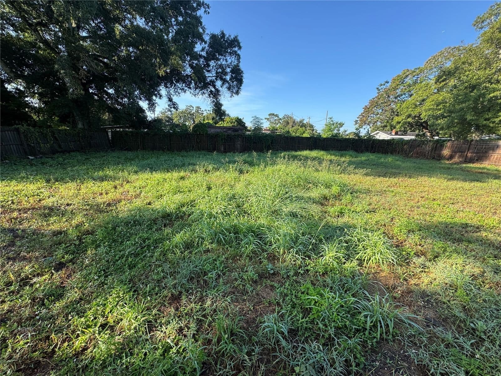 222 BUCHANON 5