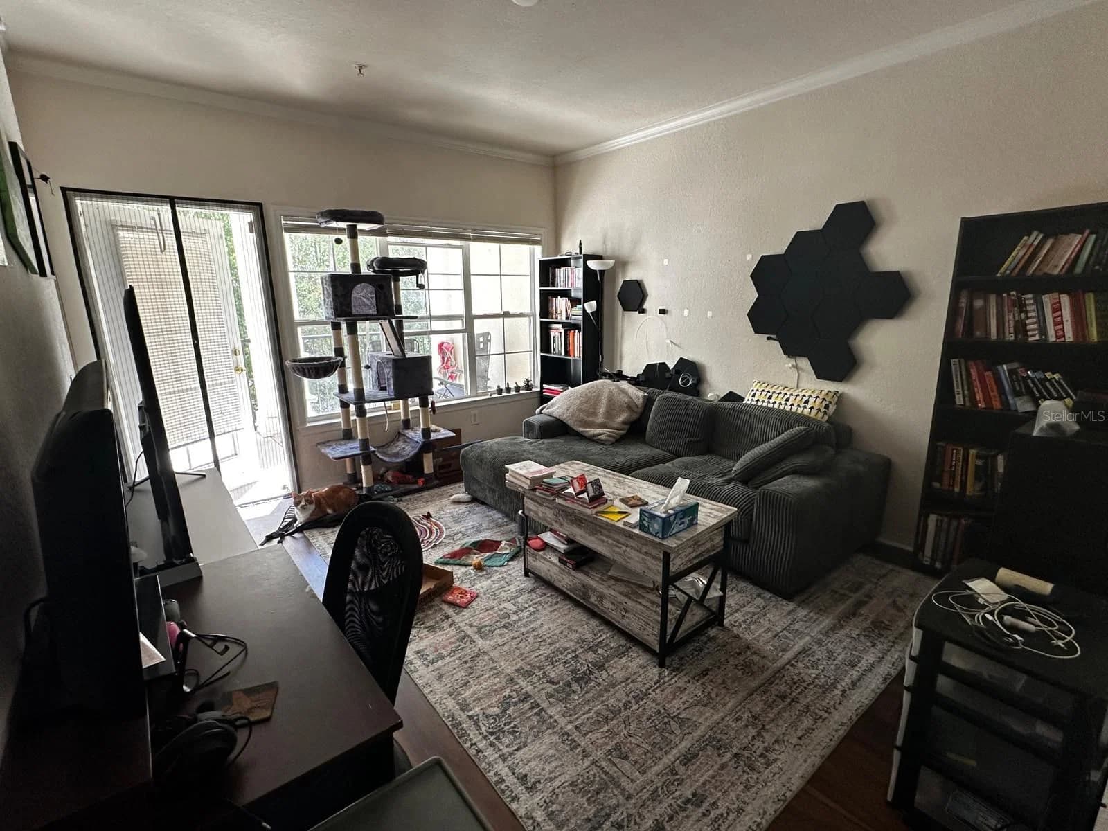 3605 CONROY 5