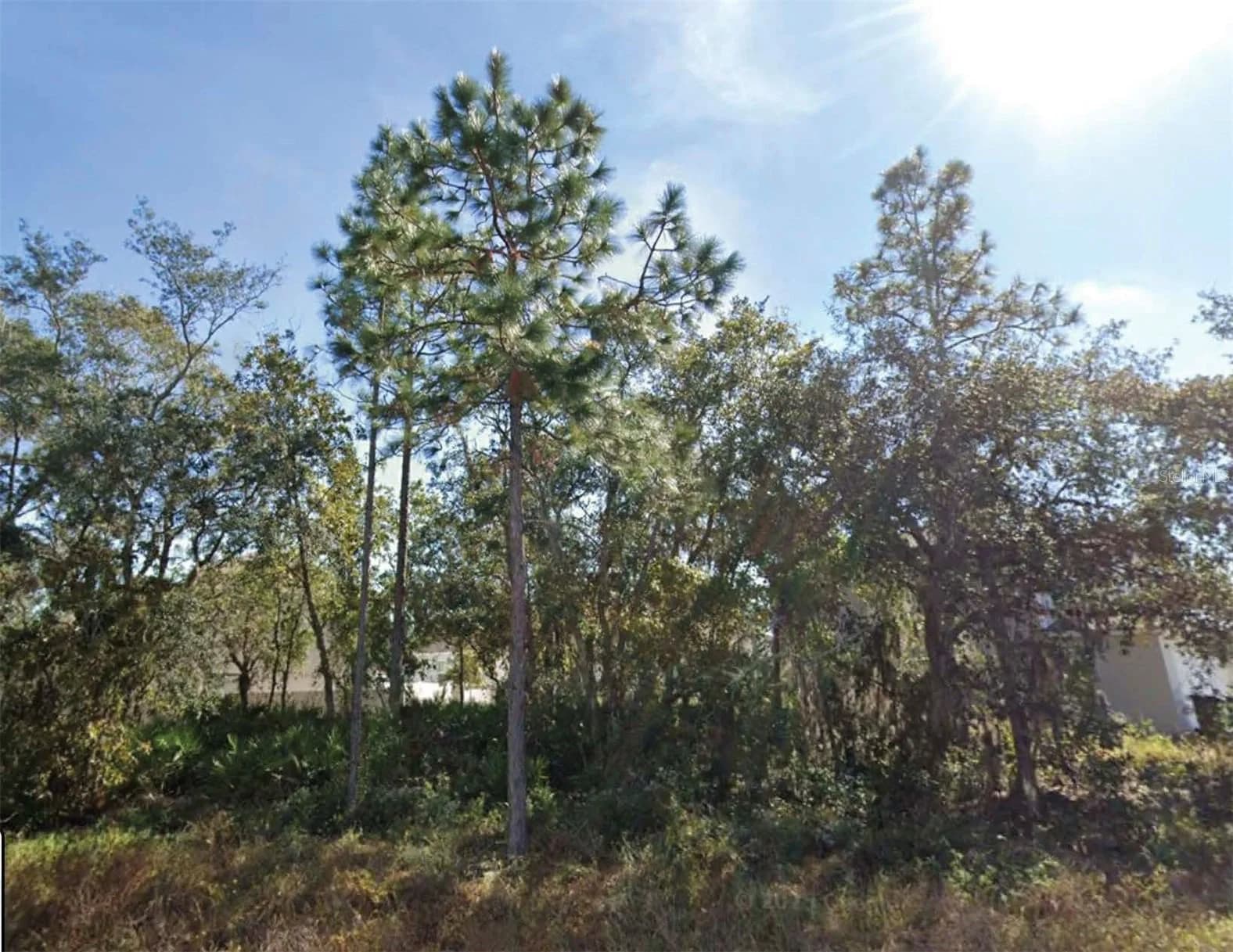 1626 PILCHARD, Poinciana, FL 34759