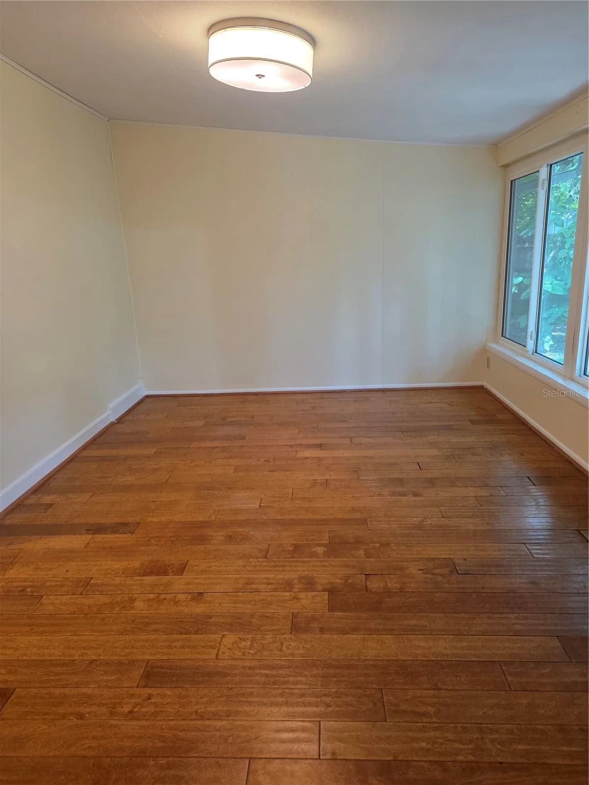 3111 FORMOSA 5