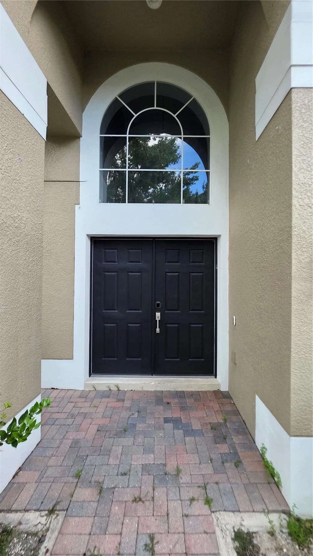 1719 PLANTATION OAKS 2