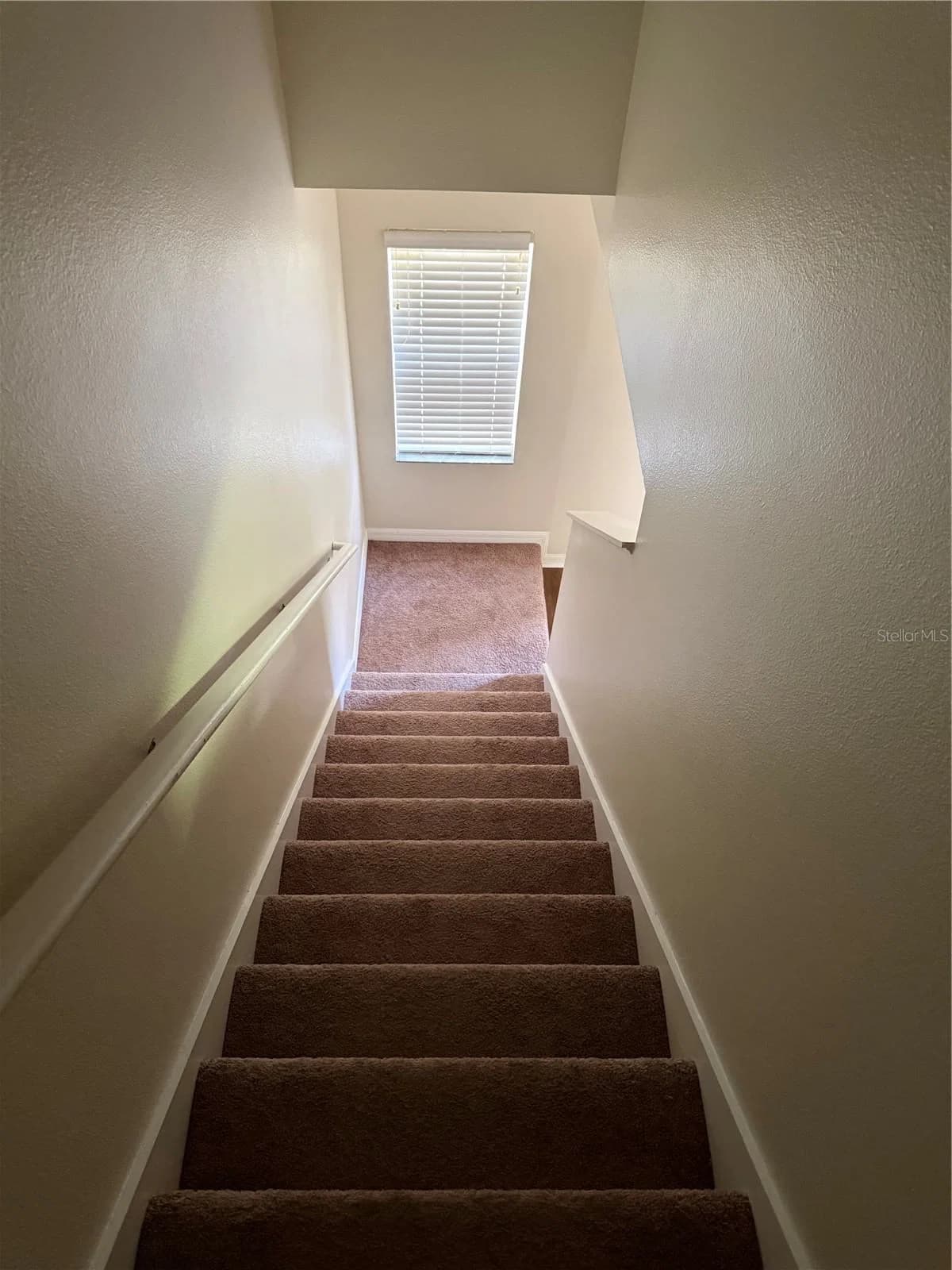287 WINDING VINE Lane #34 4