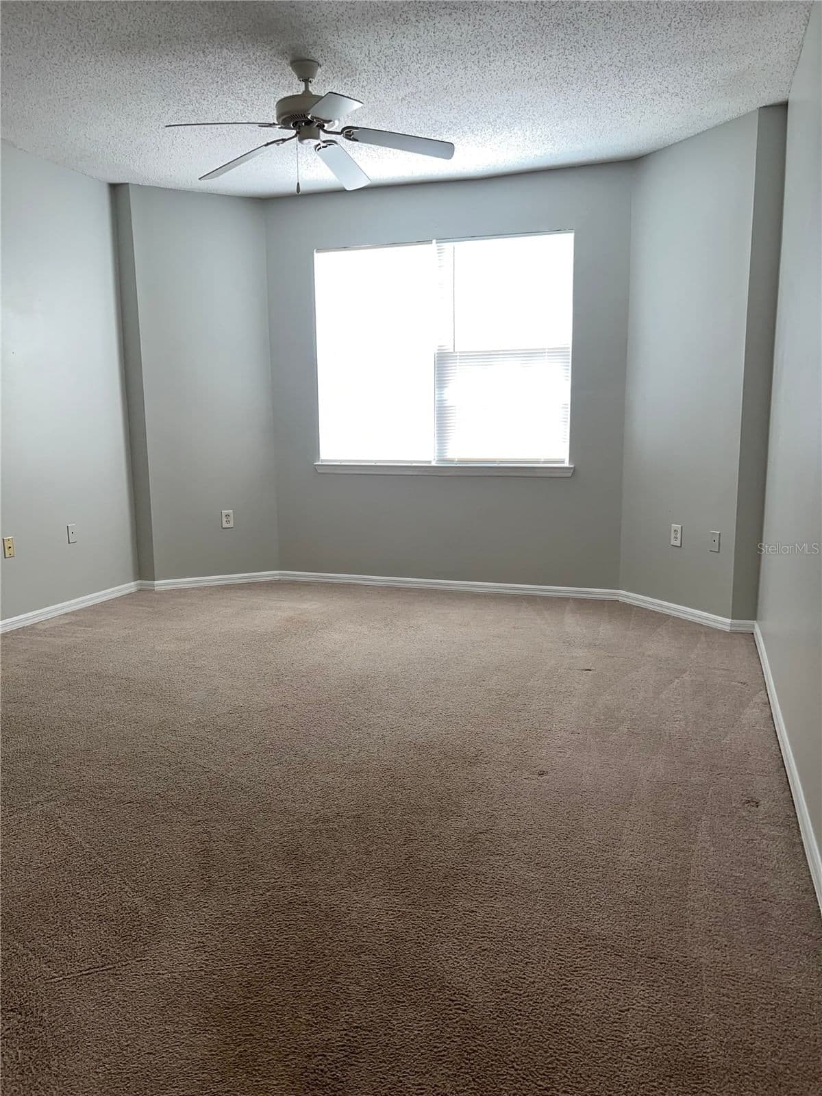 10831 WINDSOR WALK Drive #211 4