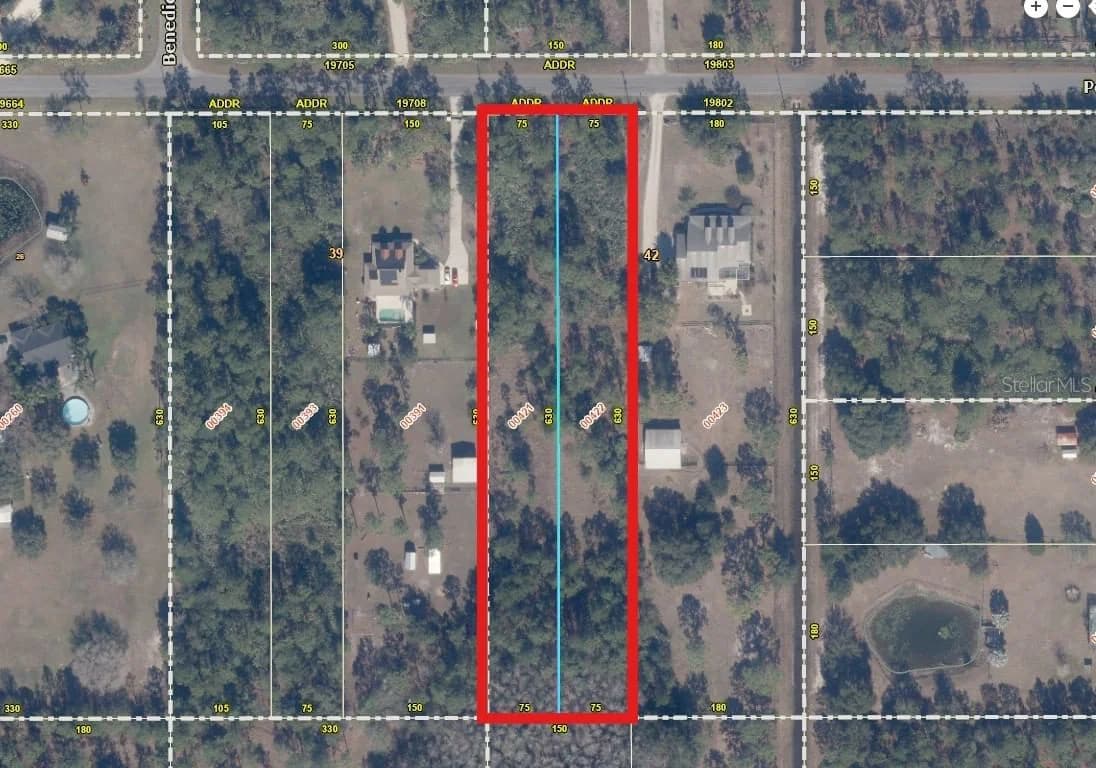 LOT 21 PEABODY 2