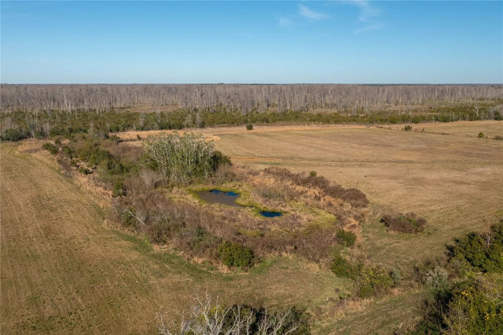 601 DIAMOND ACRES 5
