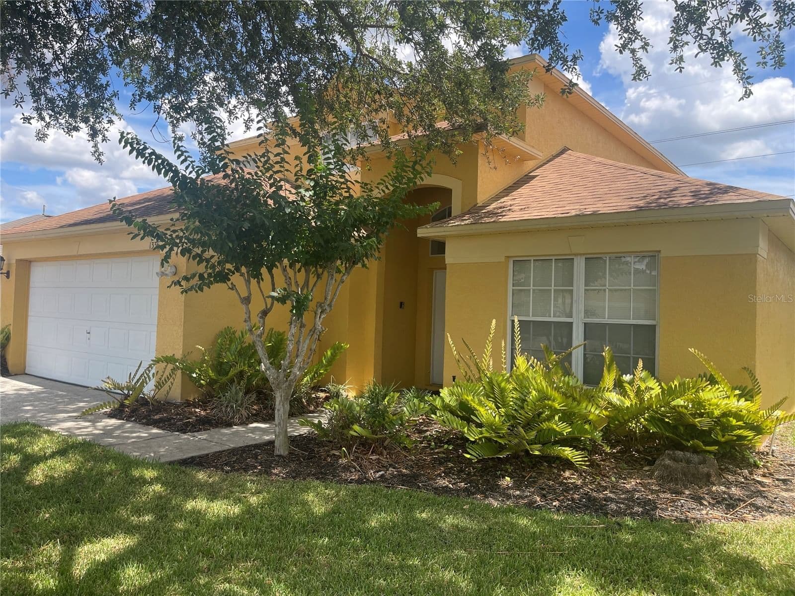 1336 CASTERTON 5