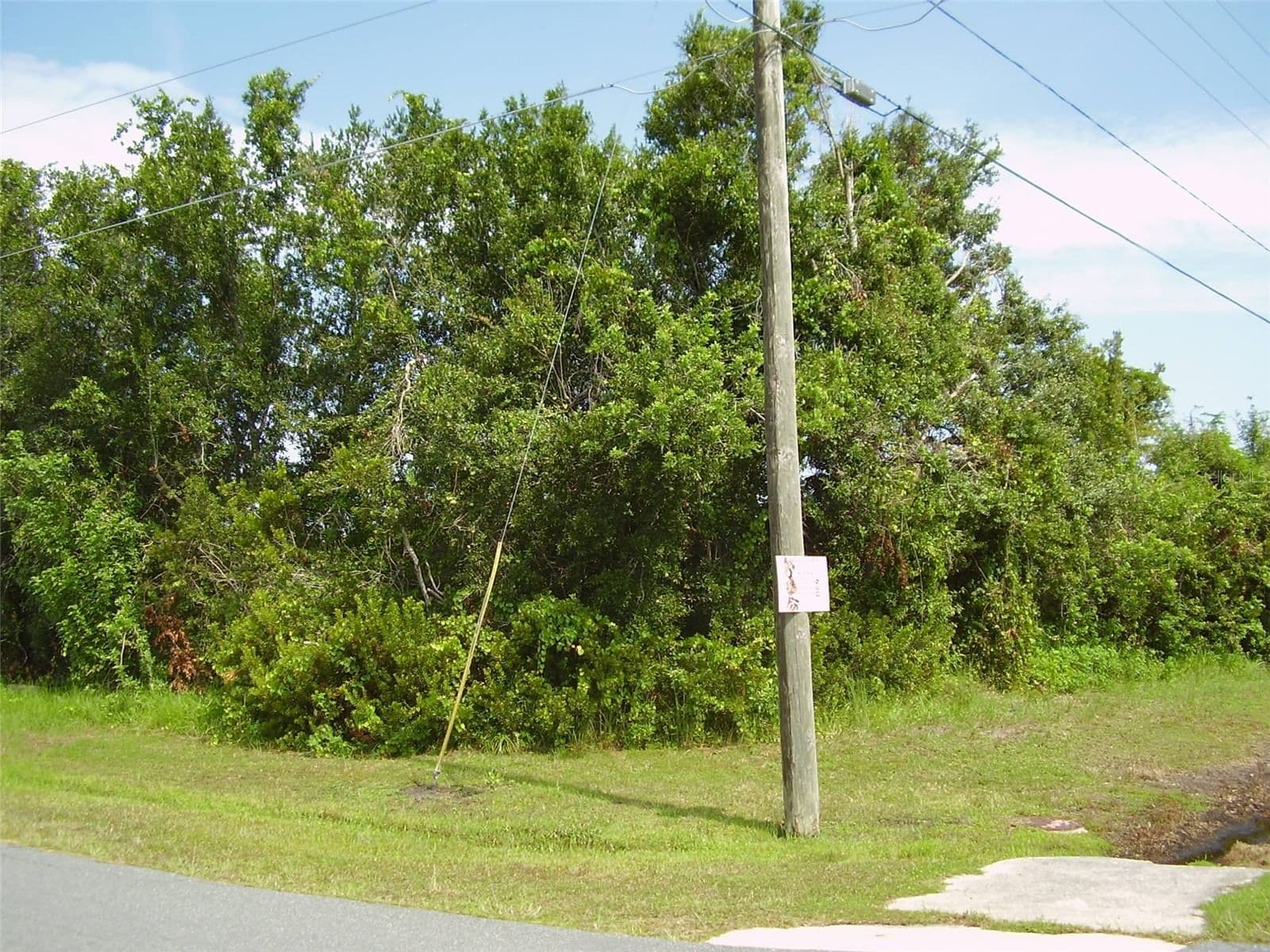 801 CARROUSEL, Kissimmee, FL 34759 3