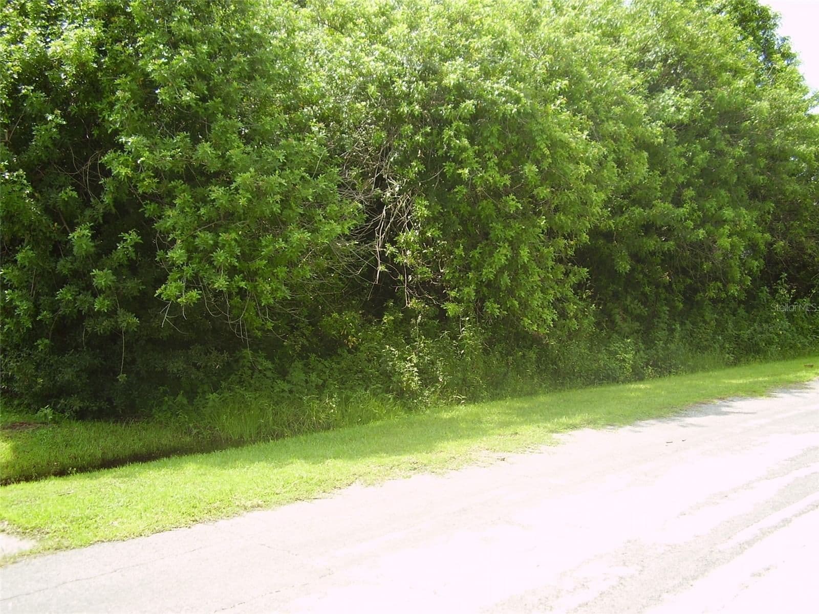 321 CAEN, Kissimmee, FL 34759 2